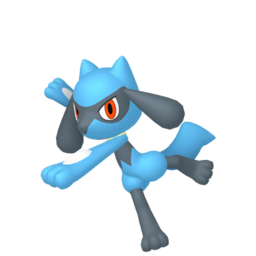 Riolu